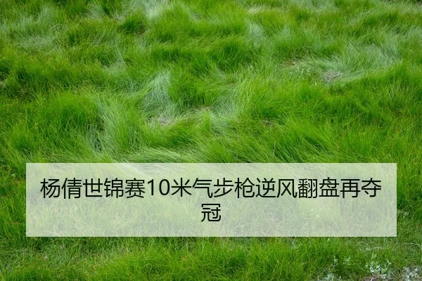 杨倩世锦赛10米气步枪逆风翻盘再夺冠