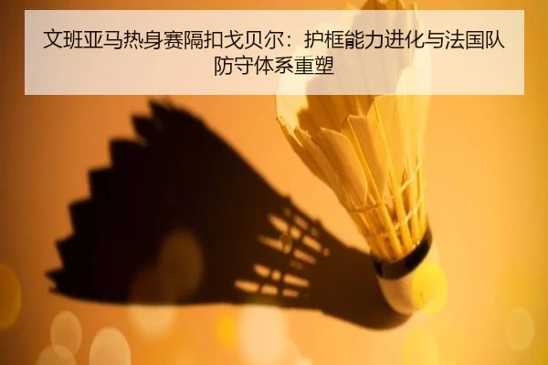 文班亚马热身赛隔扣戈贝尔：护框能力进化与法国队防守体系重塑