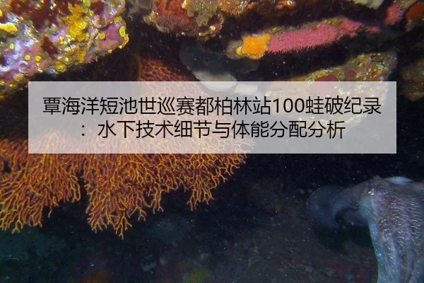覃海洋短池世巡赛都柏林站100蛙破纪录：水下技术细节与体能分配分析